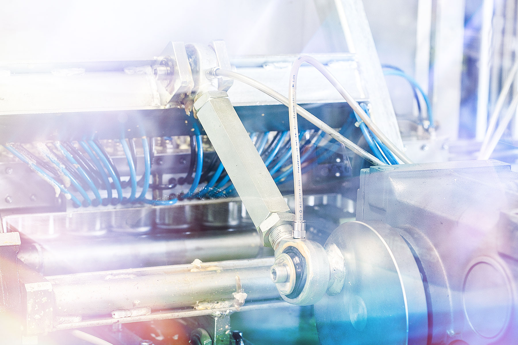 Hago | KLETT VISCOM | Marketing & Websites aus dem Ländle