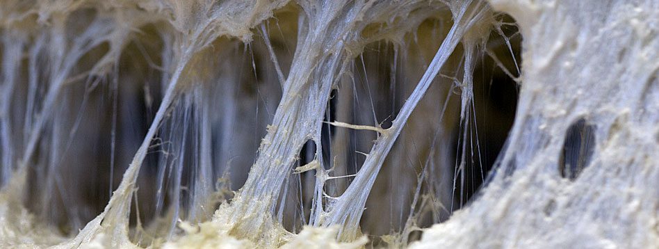 Hago | KLETT VISCOM | Marketing & Websites aus dem Ländle