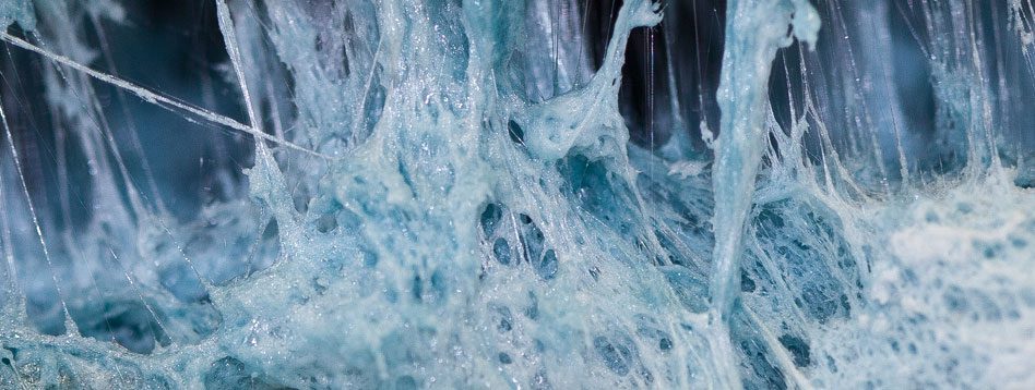 Hago | KLETT VISCOM | Marketing & Websites aus dem Ländle